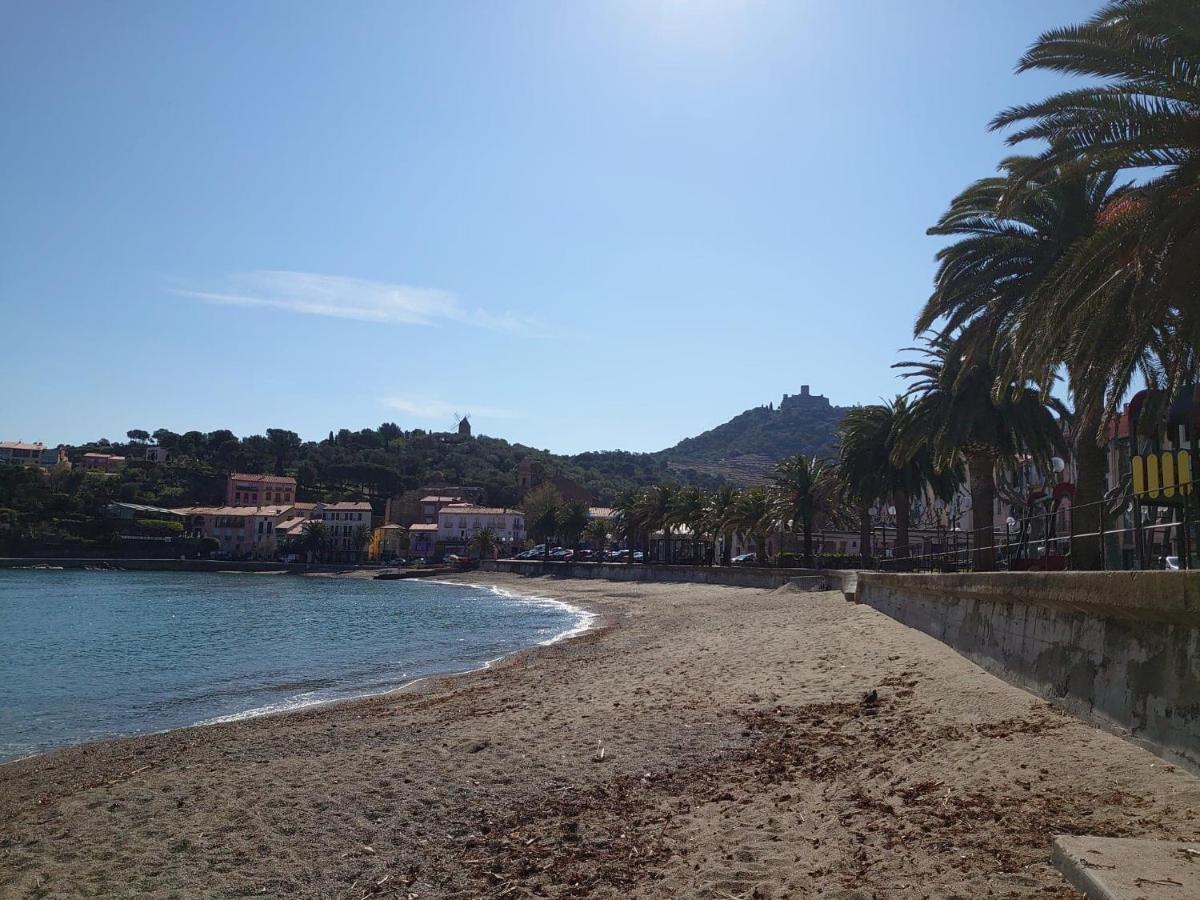 4Rb4 Appartement Type T2 Bord De Mer Acces Plage Direct Колюр Екстериор снимка